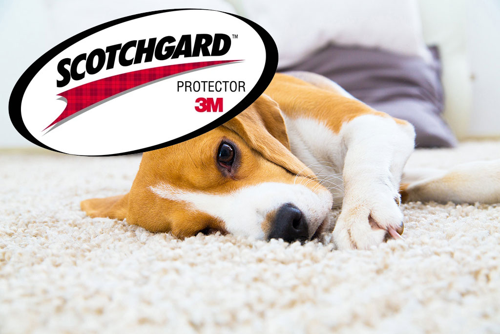 Scotchgard Protection by 3M